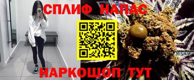 бошки Кингисепп