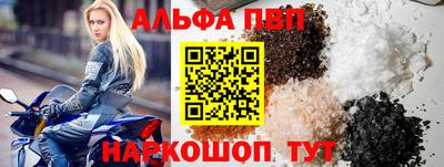 бошки Кингисепп