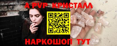бошки Кингисепп
