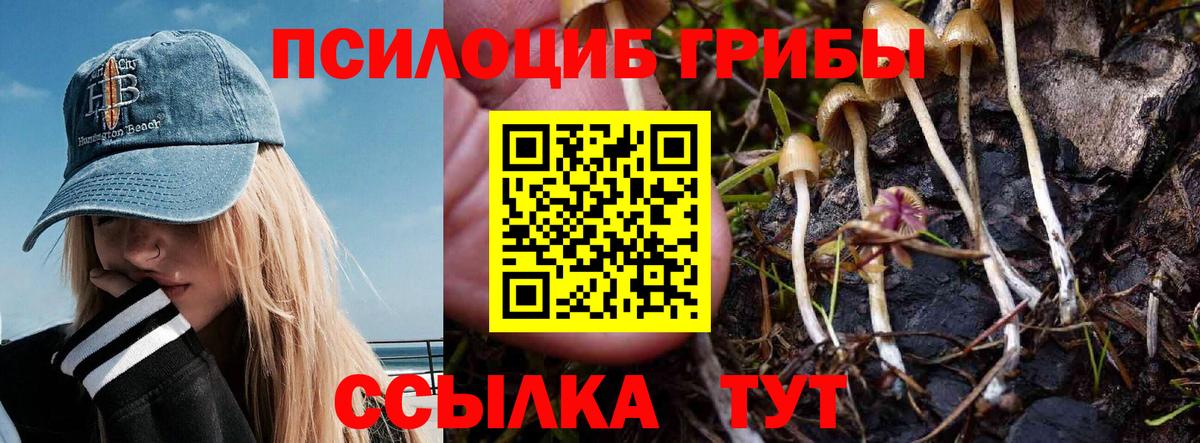 Псилоцибиновые грибы Magic Shrooms  Галлюциногенные грибы Magic Shrooms  Вход с VPN  Учалы 